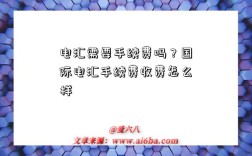 电汇需要手续费吗？国际电汇手续费收费怎么样
