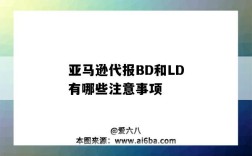 亚马逊代报BD和LD有哪些注意事项（亚马逊ld和bd是什么意思）