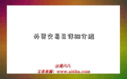 外贸交易巨详细介绍