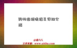 购物退税流程巨详细介绍