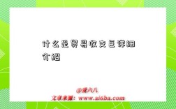 什么是贸易收支巨详细介绍