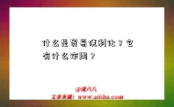 什么是贸易便利化？它有什么作用？