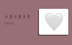 白牌,白牌车是什么身份