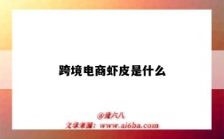 跨境电商虾皮是什么（跨境电商虾皮是什么意思）