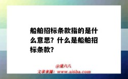 船舶招标条款指的是什么意思？什么是船舶招标条款？