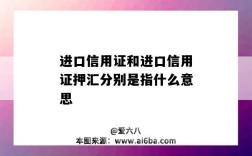 进口信用证和进口信用证押汇分别是指什么意思