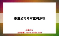 香港公司年审查询步骤（香港公司年审资料）