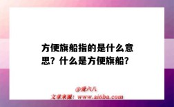 方便旗船指的是什么意思？什么是方便旗船？