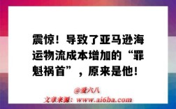 震惊！导致了亚马逊海运物流成本增加的“罪魁祸首”，原来是他！（亚马逊降低物流成本）