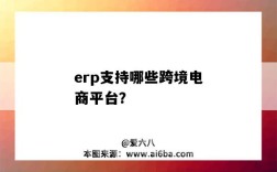 erp支持哪些跨境电商平台？