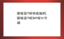 新德里T港转运路线,新德里T港和P港口介绍