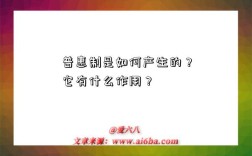 普惠制是如何产生的？它有什么作用？