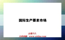 国际生产要素市场