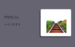 MSME,msme是什么意思