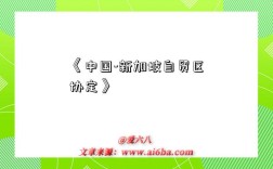 《中国-新加坡自贸区协定》