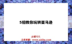 5招教你玩转亚马逊（如何玩转亚马逊）