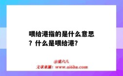 喂给港指的是什么意思？什么是喂给港？
