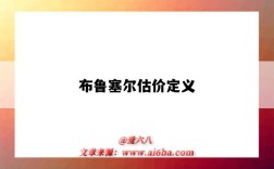 布鲁塞尔估价定义