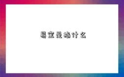 易宝是指什么