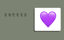 美国敏感专线,