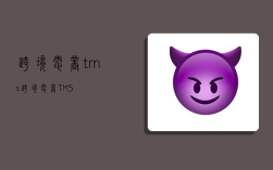 跨境电商tms,跨境电商TMS