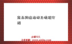 商品购进指标及流程介绍
