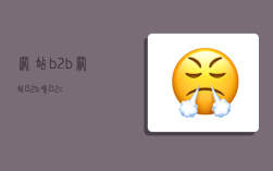 网站b2b,网站B2b和B2c