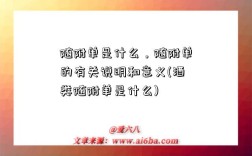 随附单是什么，随附单的有关说明和意义(酒类随附单是什么)