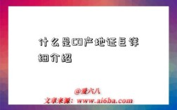 什么是CO产地证巨详细介绍