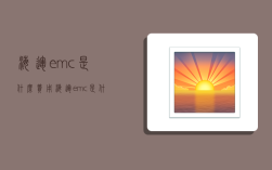 海运emc是什么费用,海运emc是什么费用该谁交