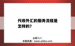 代收外汇的服务流程是怎样的？