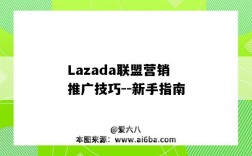 Lazada联盟营销推广技巧--新手指南（lazada联盟推广方案）
