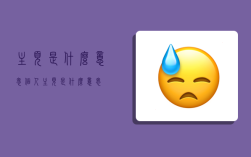 主页是什么意思,个人主页是什么意思
