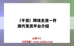 （干货）跨境无货一件源代发货平台介绍（跨境电商一件代发货源平台）