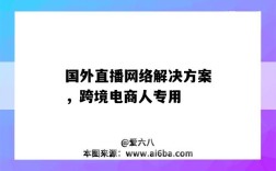 国外直播网络解决方案，跨境电商人专用（国外直播电商平台）