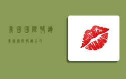 美国 国际快运,美国国际快运公司