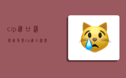 cip进口清关谁负责,cip进口清关谁做