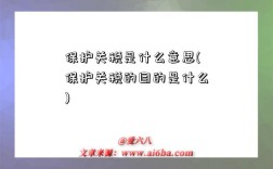 保护关税是什么意思(保护关税的目的是什么)
