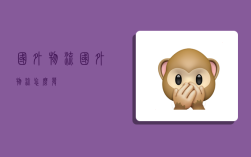 国外物流,国外物流怎么发