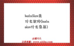 InstaSize是什么软件(instasize什么意思)