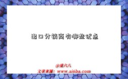 出口分销商有哪些优点
