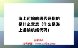 海上运输航线代码指的是什么意思（什么是海上运输航线代码)