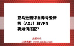 亚马逊测评自养号爱新机（AXJ）和VPN要如何搭配？