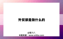 外贸狼是做什么的（外贸狼怎么样）