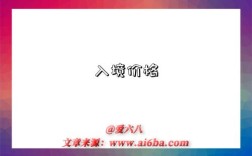 入境价格