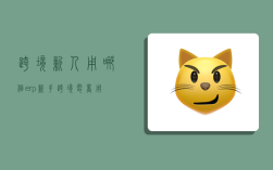 跨境新人用哪个erp,新手跨境电商用什么erp