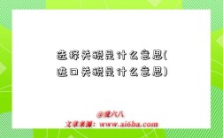 选择关税是什么意思(进口关税是什么意思)