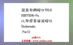 直落勿洞港口TELUKBETUNG-Port,印度尼西亚港口(Indonesia Port)