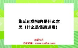 集疏运费指的是什么意思（什么是集疏运费)
