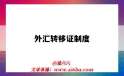外汇转移证制度